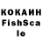 МЕФ VHQ Hidzashi