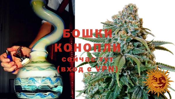 стаф Вяземский