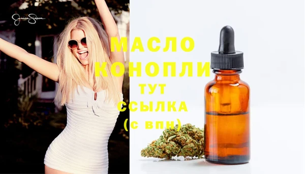 стаф Вяземский