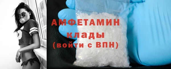 стаф Вяземский