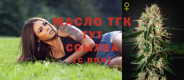 стаф Вяземский